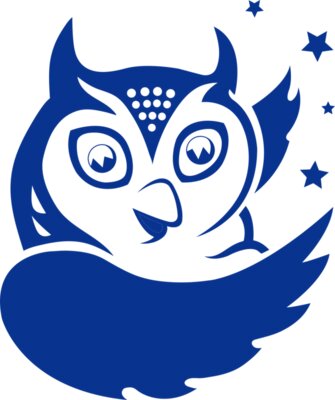Owl_Stars_Blue